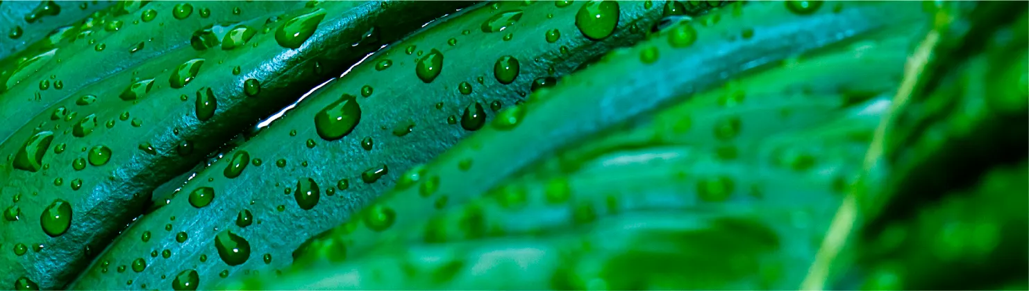 about usage background image 2
