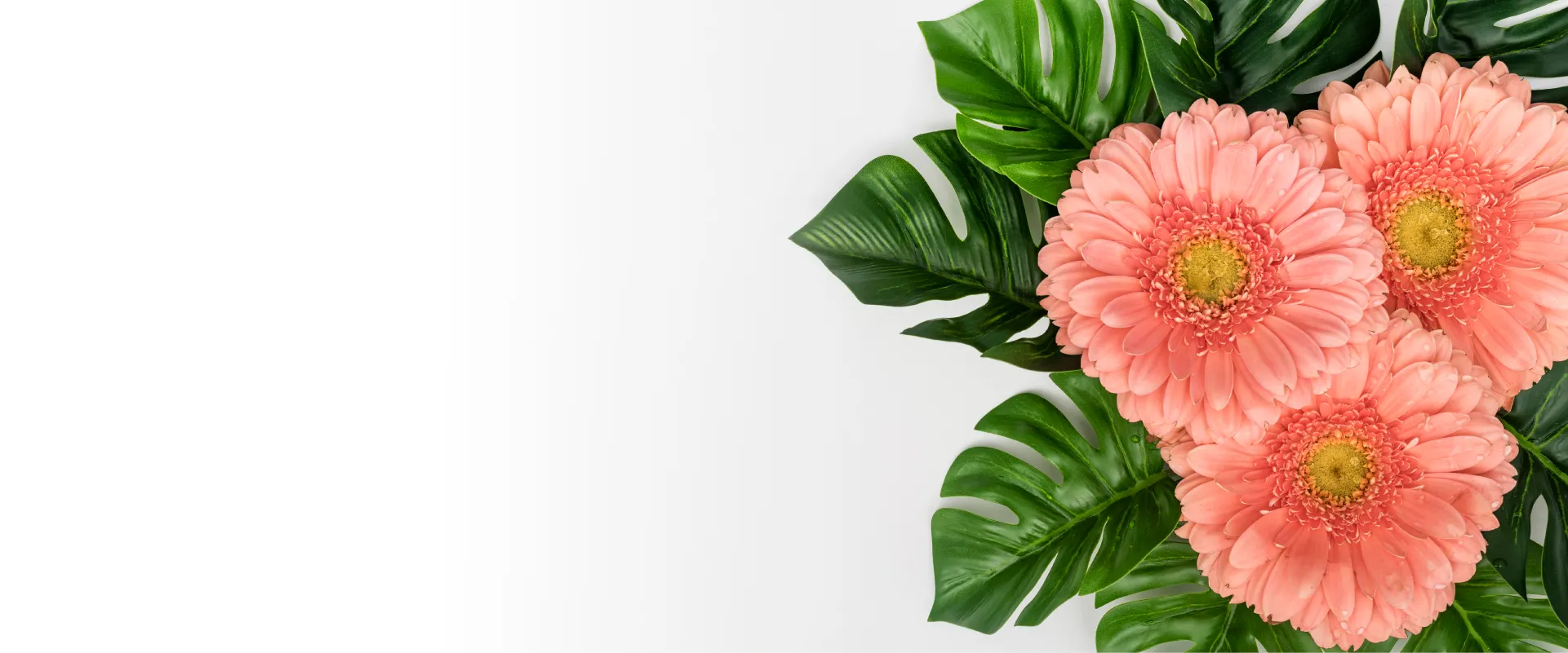 header image 3