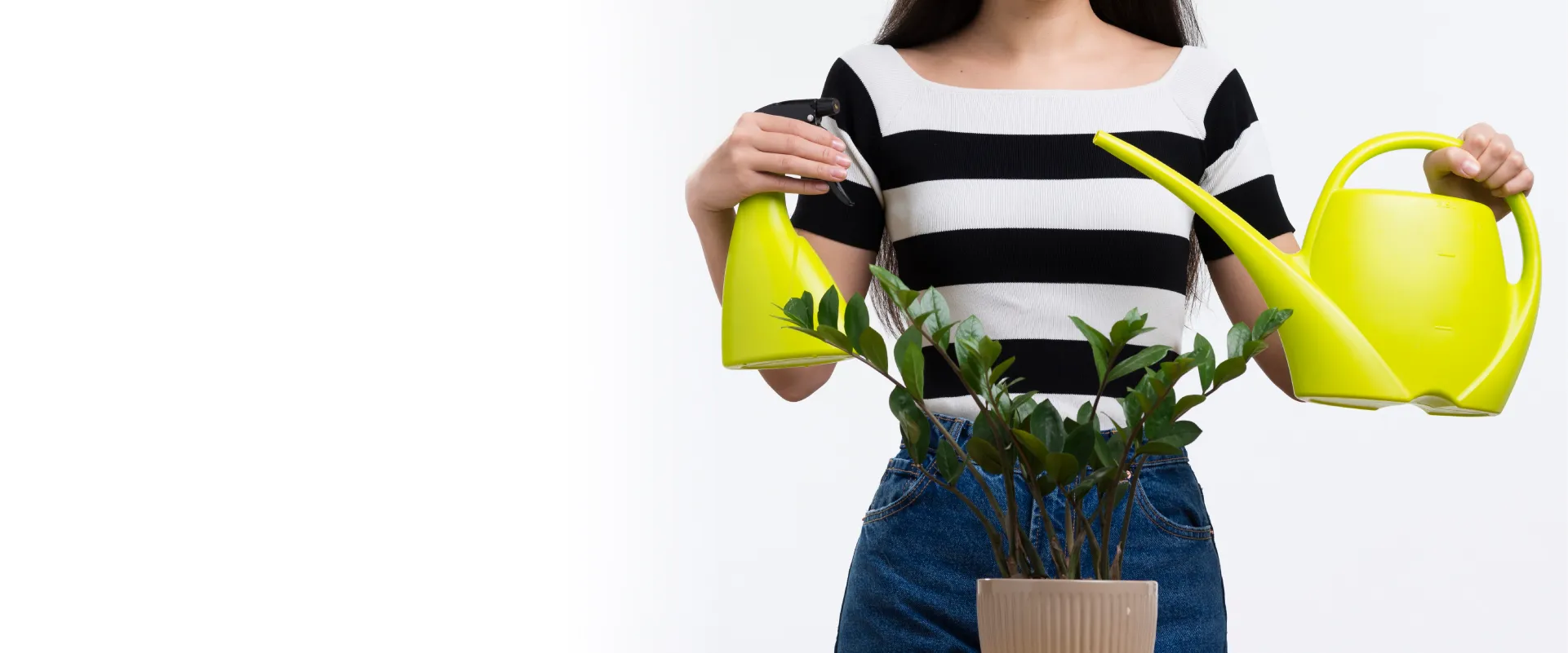 header image 4