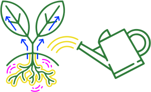 WITH IRRIGATION